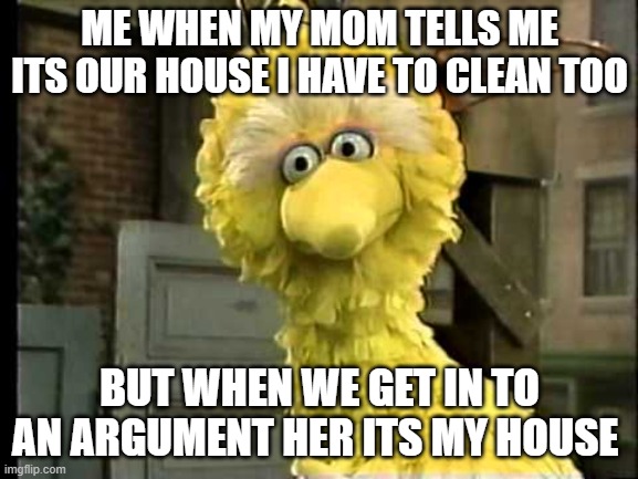 jjxcjxzhcjzxhcjhzclzjclzxlzk | ME WHEN MY MOM TELLS ME ITS OUR HOUSE I HAVE TO CLEAN TOO; BUT WHEN WE GET IN TO AN ARGUMENT HER ITS MY HOUSE | image tagged in big bird | made w/ Imgflip meme maker