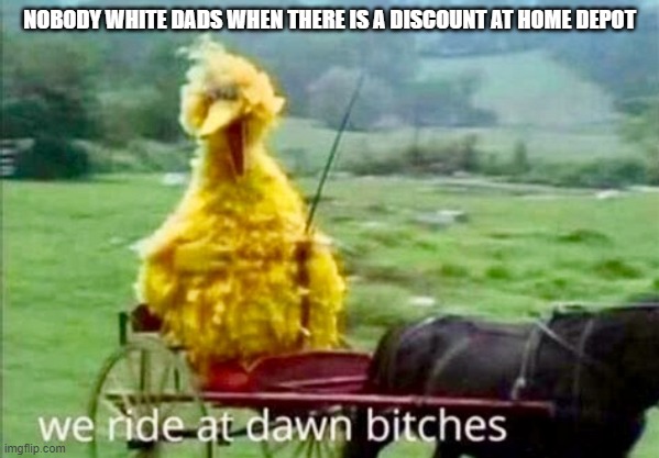 hyhghuuyfyi | NOBODY WHITE DADS WHEN THERE IS A DISCOUNT AT HOME DEPOT | image tagged in big bird | made w/ Imgflip meme maker