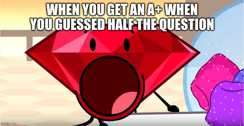 BFDI Ruby | WHEN YOU GET AN A+ WHEN YOU GUESSED HALF THE QUESTION | image tagged in bfdi ruby | made w/ Imgflip meme maker