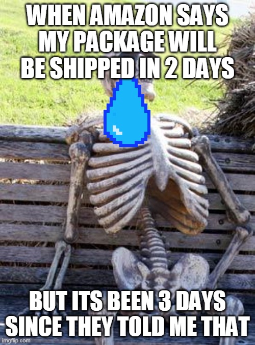 you know its true you know it | WHEN AMAZON SAYS MY PACKAGE WILL BE SHIPPED IN 2 DAYS; BUT ITS BEEN 3 DAYS SINCE THEY TOLD ME THAT | image tagged in memes,waiting skeleton | made w/ Imgflip meme maker