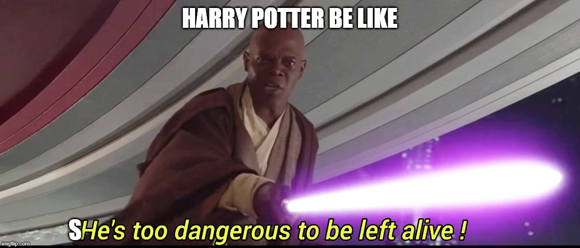 He's too dangerous to be left alive! | HARRY POTTER BE LIKE S | image tagged in he's too dangerous to be left alive | made w/ Imgflip meme maker