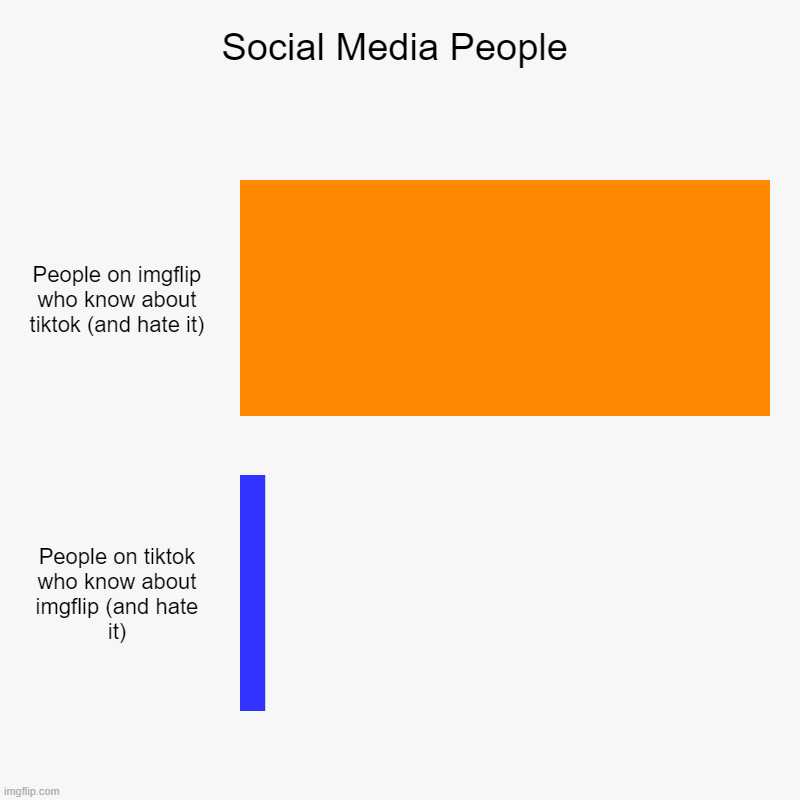 if you think about it | Social Media People | People on imgflip who know about tiktok (and hate it), People on tiktok who know about imgflip (and hate it) | image tagged in charts,bar charts,tiktok,imgflip | made w/ Imgflip chart maker