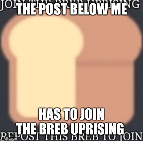 THE POST BELOW ME; HAS TO JOIN THE BREB UPRISING | made w/ Imgflip meme maker