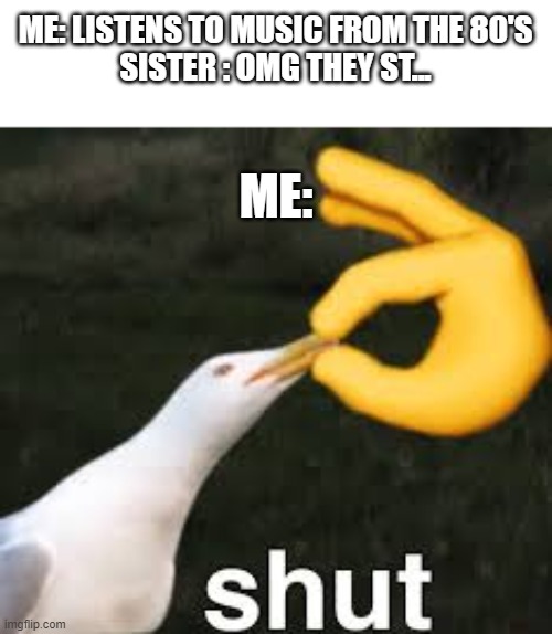 Shut Bird | ME: LISTENS TO MUSIC FROM THE 80'S
SISTER : OMG THEY ST... ME: | image tagged in shut bird | made w/ Imgflip meme maker