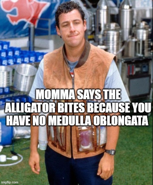 Waterboy | MOMMA SAYS THE ALLIGATOR BITES BECAUSE YOU HAVE NO MEDULLA OBLONGATA | image tagged in waterboy | made w/ Imgflip meme maker