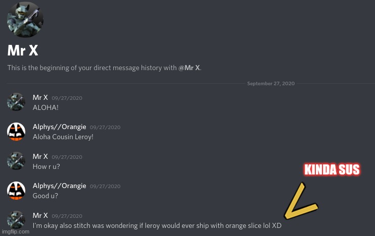 CloudDays Discord Files: Leroy | KINDA SUS | image tagged in cd files | made w/ Imgflip meme maker