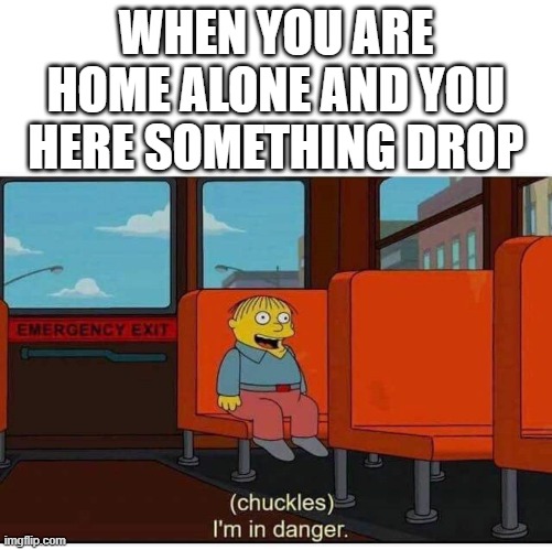 I'm in danger | WHEN YOU ARE HOME ALONE AND YOU HERE SOMETHING DROP | image tagged in i'm in danger | made w/ Imgflip meme maker