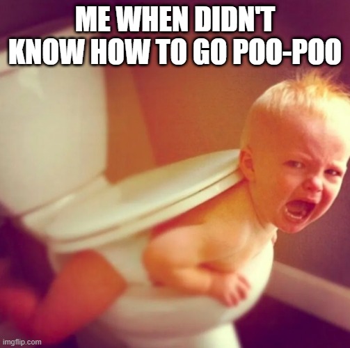 poo-poo fight | ME WHEN DIDN'T KNOW HOW TO GO POO-POO | image tagged in poo-poo,kids | made w/ Imgflip meme maker