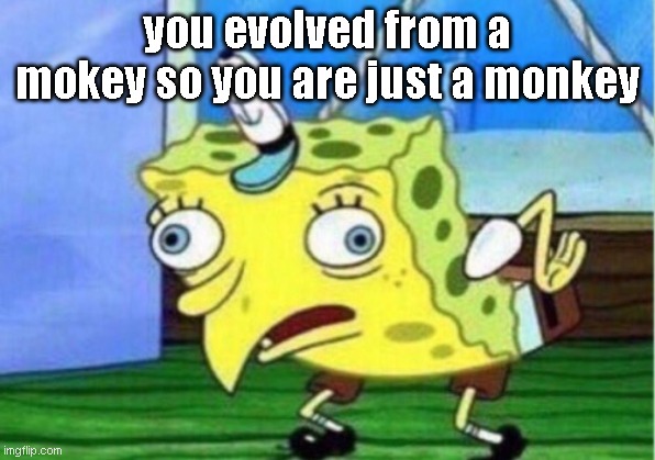 Mocking Spongebob Meme | you evolved from a mokey so you are just a monkey | image tagged in memes,mocking spongebob | made w/ Imgflip meme maker