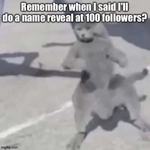Cat nae nae | Remember when I said I'll do a name reveal at 100 followers? | image tagged in cat nae nae | made w/ Imgflip meme maker