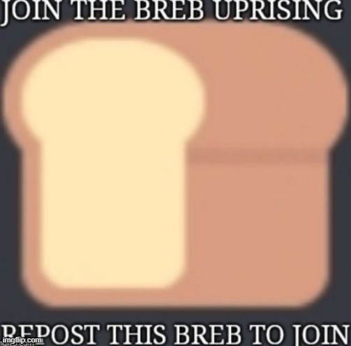 im a breb boi | image tagged in bread | made w/ Imgflip meme maker