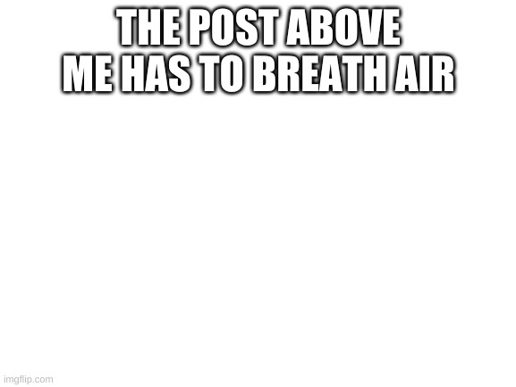 Blank White Template | THE POST ABOVE ME HAS TO BREATH AIR | image tagged in blank white template | made w/ Imgflip meme maker