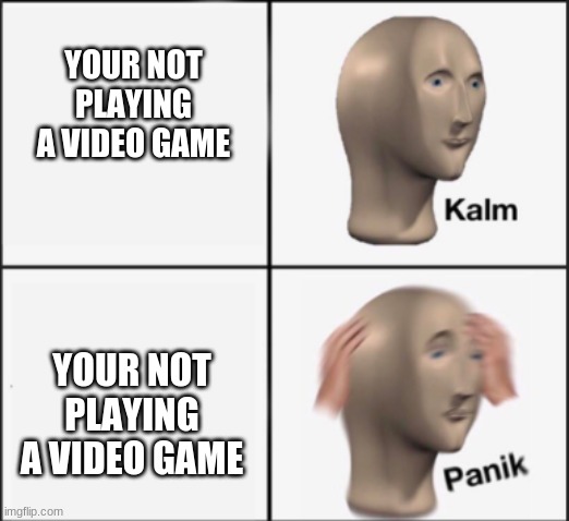 kalm panik | YOUR NOT PLAYING A VIDEO GAME; YOUR NOT PLAYING A VIDEO GAME | image tagged in kalm panik | made w/ Imgflip meme maker