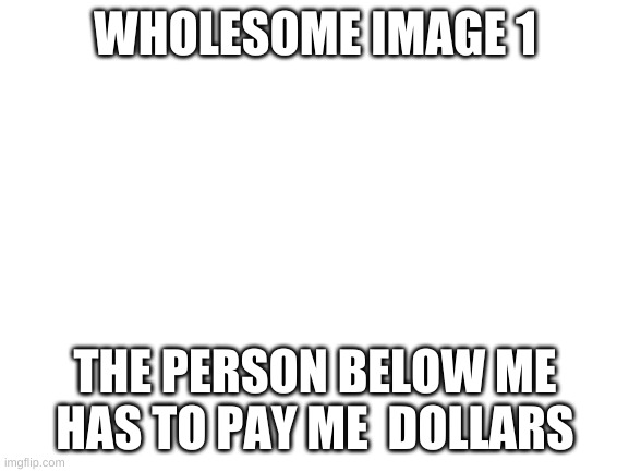 Blank White Template | WHOLESOME IMAGE 1; THE PERSON BELOW ME HAS TO PAY ME  DOLLARS | image tagged in blank white template | made w/ Imgflip meme maker