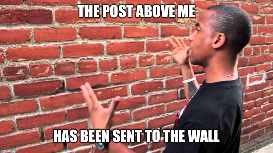 Talking to wall | THE POST ABOVE ME; HAS BEEN SENT TO THE WALL | image tagged in talking to wall | made w/ Imgflip meme maker