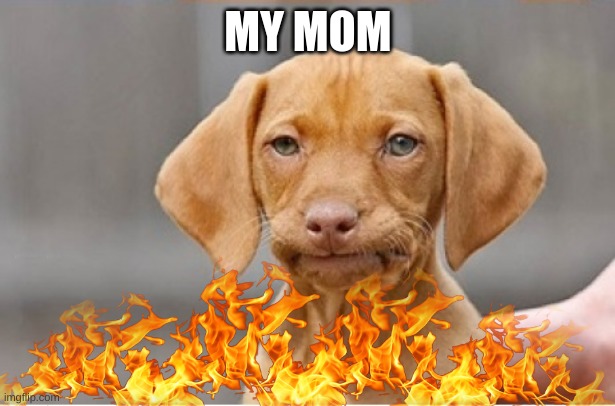 Well Shit | MY MOM | image tagged in well shit | made w/ Imgflip meme maker