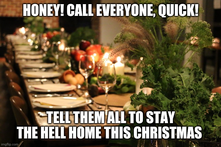 Christmas 2020 | HONEY! CALL EVERYONE, QUICK! TELL THEM ALL TO STAY THE HELL HOME THIS CHRISTMAS | image tagged in christmas | made w/ Imgflip meme maker