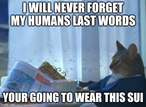 Fin the chat for human | I WILL NEVER FORGET MY HUMANS LAST WORDS; YOUR GOING TO WEAR THIS SUI | image tagged in memes,i should buy a boat cat | made w/ Imgflip meme maker