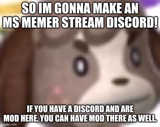 because yes | SO IM GONNA MAKE AN MS MEMER STREAM DISCORD! IF YOU HAVE A DISCORD AND ARE MOD HERE, YOU CAN HAVE MOD THERE AS WELL. | image tagged in digby wtf | made w/ Imgflip meme maker