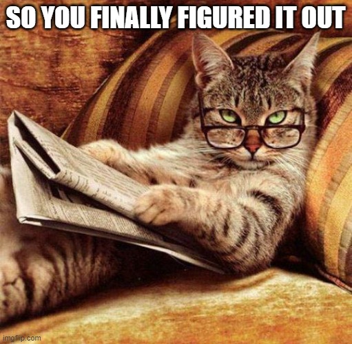 Smart Cat | SO YOU FINALLY FIGURED IT OUT | image tagged in smart cat | made w/ Imgflip meme maker