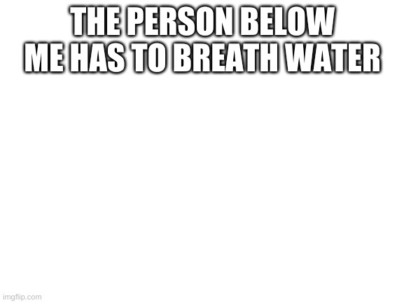 Blank White Template | THE PERSON BELOW ME HAS TO BREATH WATER | image tagged in blank white template | made w/ Imgflip meme maker