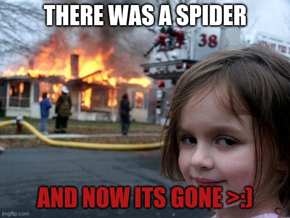its gone now | THERE WAS A SPIDER; AND NOW ITS GONE >:) | image tagged in memes | made w/ Imgflip meme maker