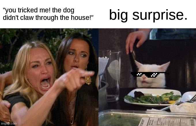 blame the dog | "you tricked me! the dog didn't claw through the house!"; big surprise. | image tagged in memes,woman yelling at cat | made w/ Imgflip meme maker