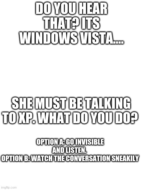 Story Path 1 | DO YOU HEAR THAT? ITS WINDOWS VISTA.... SHE MUST BE TALKING TO XP. WHAT DO YOU DO? OPTION A: GO INVISIBLE AND LISTEN. 
OPTION B: WATCH THE CONVERSATION SNEAKILY | image tagged in blank white template | made w/ Imgflip meme maker