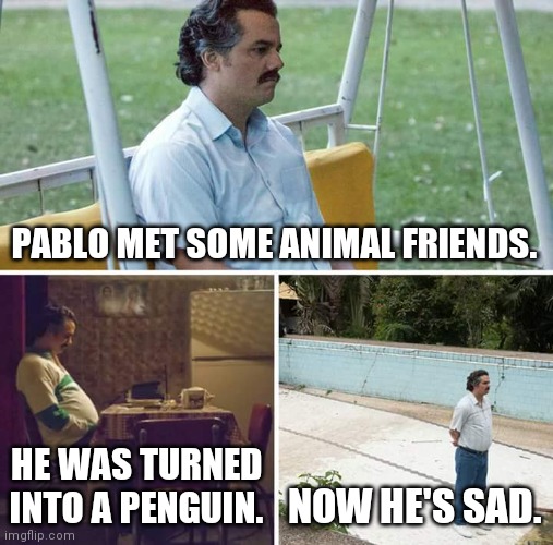 Sad Pablo Escobar | PABLO MET SOME ANIMAL FRIENDS. HE WAS TURNED INTO A PENGUIN. NOW HE'S SAD. | image tagged in memes,sad pablo escobar | made w/ Imgflip meme maker
