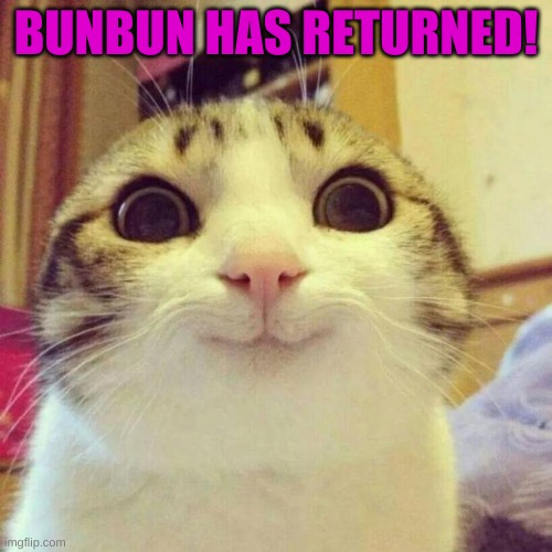 :D | BUNBUN HAS RETURNED! | image tagged in memes,smiling cat | made w/ Imgflip meme maker