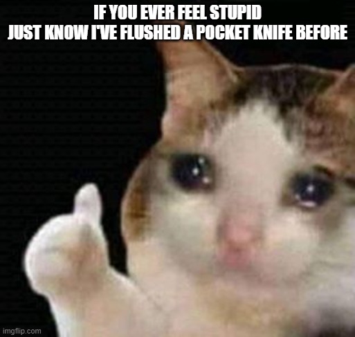 HAHAHHAHAHAHHAHA | IF YOU EVER FEEL STUPID
JUST KNOW I'VE FLUSHED A POCKET KNIFE BEFORE | image tagged in sad thumbs up cat | made w/ Imgflip meme maker