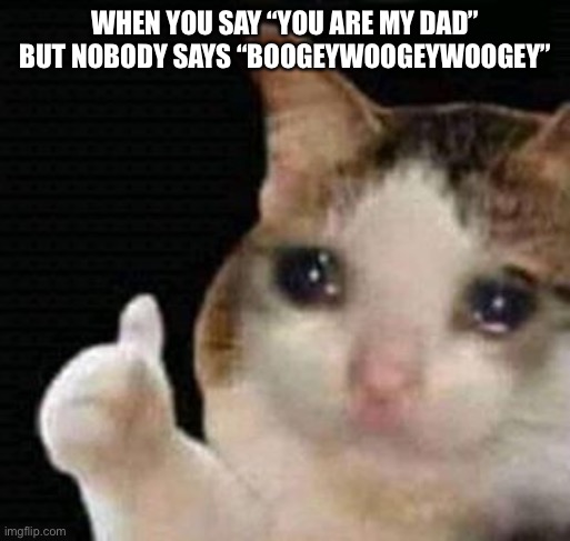 sad thumbs up cat | WHEN YOU SAY “YOU ARE MY DAD” BUT NOBODY SAYS “BOOGEYWOOGEYWOOGEY” | image tagged in sad thumbs up cat | made w/ Imgflip meme maker