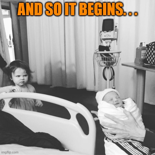 When siblings first meet | AND SO IT BEGINS. . . | image tagged in kids,babies,first time,siblings,sibling rivalry,family | made w/ Imgflip meme maker