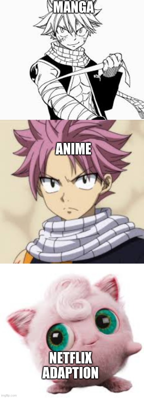 natsu dragneel | MANGA; ANIME; NETFLIX ADAPTION | made w/ Imgflip meme maker