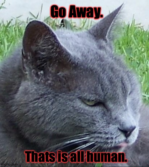 Be Gone! | Go Away. Thats is all human. | image tagged in be gone human,cat,badass,go,leave,funny | made w/ Imgflip meme maker