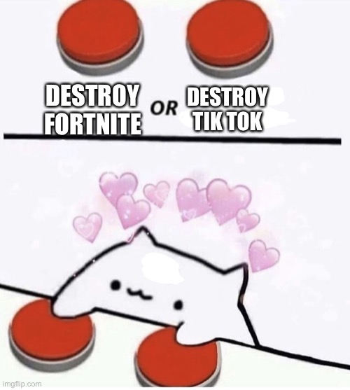 Cat pressing two buttons | DESTROY FORTNITE DESTROY TIK TOK | image tagged in cat pressing two buttons | made w/ Imgflip meme maker