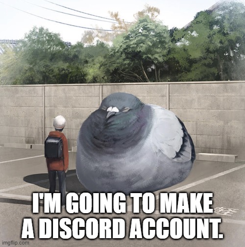 Beeg Birb | I'M GOING TO MAKE A DISCORD ACCOUNT. | image tagged in beeg birb | made w/ Imgflip meme maker