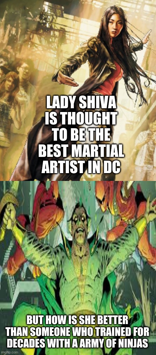 LADY SHIVA IS THOUGHT TO BE THE BEST MARTIAL ARTIST IN DC; BUT HOW IS SHE BETTER THAN SOMEONE WHO TRAINED FOR DECADES WITH A ARMY OF NINJAS | made w/ Imgflip meme maker