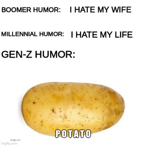 P O T A T O | image tagged in boomer humor millennial humor gen-z humor | made w/ Imgflip meme maker