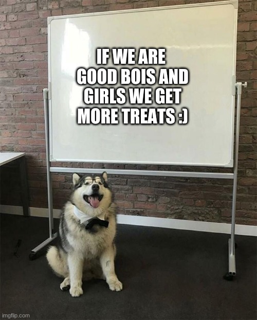 God bois and girls :D | IF WE ARE 
GOOD BOIS AND
GIRLS WE GET
MORE TREATS :) | image tagged in how to be a good boy,dogs | made w/ Imgflip meme maker