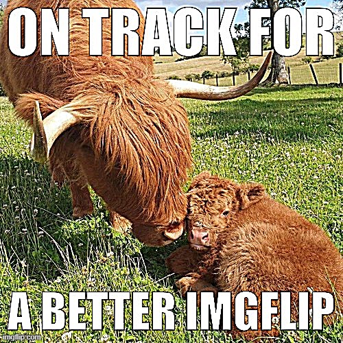When you're on track. | image tagged in on track for a better imgflip | made w/ Imgflip meme maker