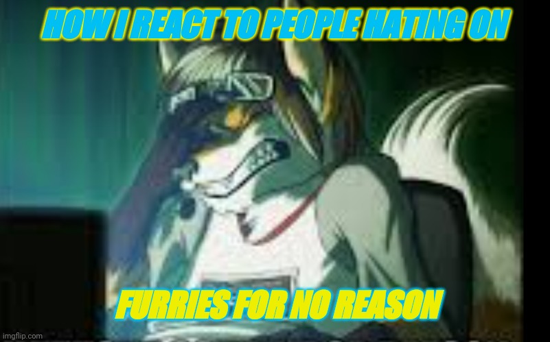 HOW I REACT TO PEOPLE HATING ON; FURRIES FOR NO REASON | image tagged in furry,reactions,how i react | made w/ Imgflip meme maker