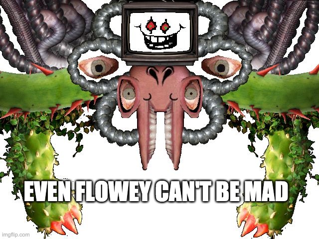 Omega Flowey | EVEN FLOWEY CAN'T BE MAD | image tagged in omega flowey | made w/ Imgflip meme maker