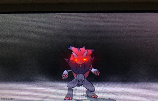 Mad zoroark the ultra necrozma slayer | image tagged in mad zoroark the ultra necrozma slayer | made w/ Imgflip meme maker