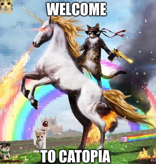 All me not from internet | WELCOME; TO CATOPIA | image tagged in memes,welcome to the internets | made w/ Imgflip meme maker