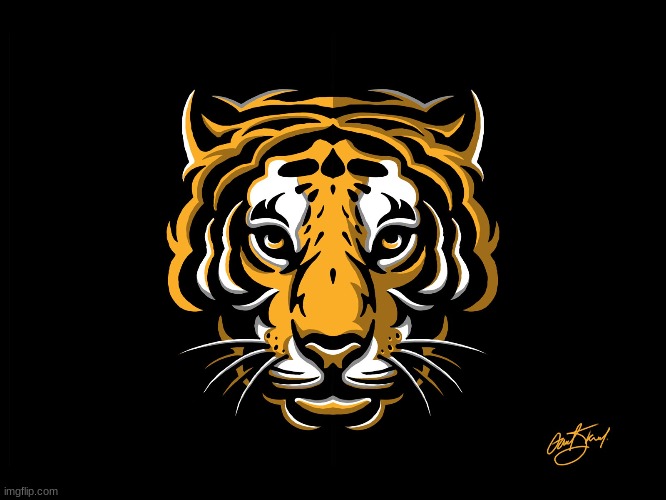 tiger | image tagged in tiger | made w/ Imgflip meme maker