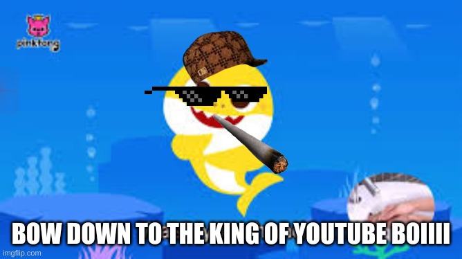 he da king | BOW DOWN TO THE KING OF YOUTUBE BOIIII | image tagged in mlg | made w/ Imgflip meme maker