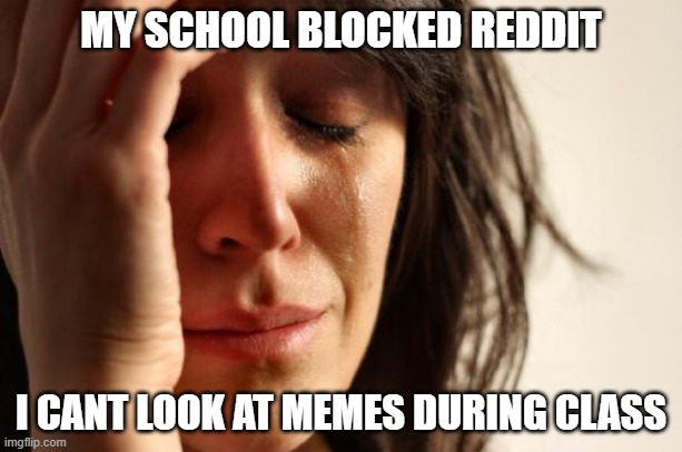 burber king goot lettuce | MY SCHOOL BLOCKED REDDIT; I CANT LOOK AT MEMES DURING CLASS | image tagged in memes,first world problems | made w/ Imgflip meme maker