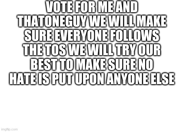 Blank White Template | VOTE FOR ME AND THATONEGUY WE WILL MAKE SURE EVERYONE FOLLOWS THE TOS WE WILL TRY OUR BEST TO MAKE SURE NO HATE IS PUT UPON ANYONE ELSE | image tagged in blank white template,terms and conditions,bullying,election | made w/ Imgflip meme maker