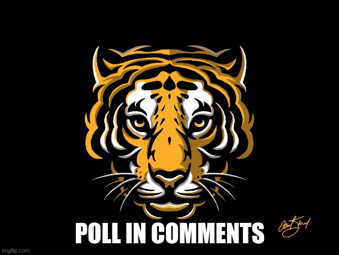 poll | POLL IN COMMENTS | image tagged in tiger | made w/ Imgflip meme maker